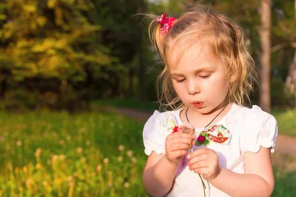 Beautiful little girl with dandelion — Stock Photo, Image