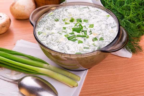 Koude yoghurt soep met dille en dooier — Stockfoto
