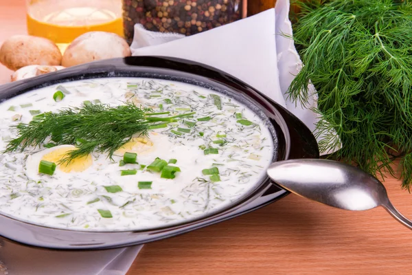 Koude yoghurt soep met dille en dooier — Stockfoto