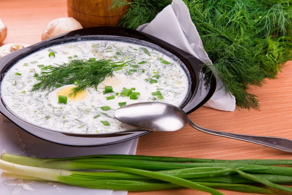 Kalte Joghurtsuppe mit Dill und Eigelb — Stockfoto