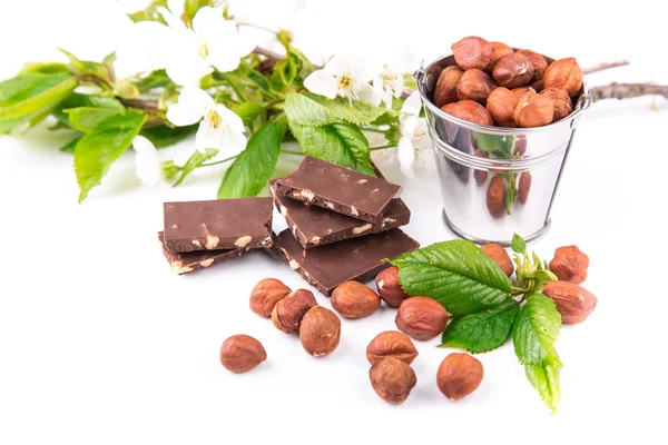 Hazelnauts v backet s kousky čokolády s ořechy — Stock fotografie