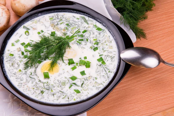 Kall yoghurt soppa med dill och äggula — Stockfoto