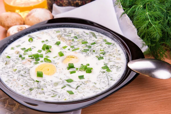 Kalte Joghurtsuppe mit Dill und Eigelb — Stockfoto