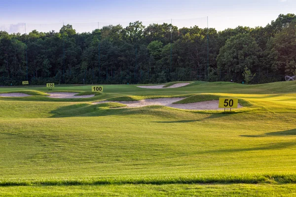 dalgalı çimde mükemmel bir golf alanı