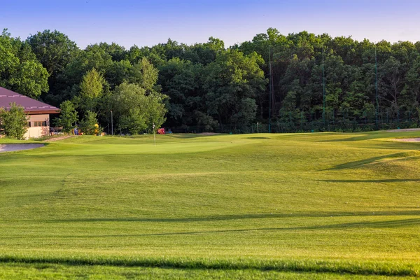 Hierba ondulada perfecta en un campo de golf —  Fotos de Stock