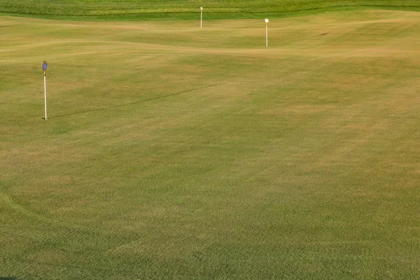 Ідеальна хвиляста земля з зеленою травою на полі для гольфу — стокове фото
