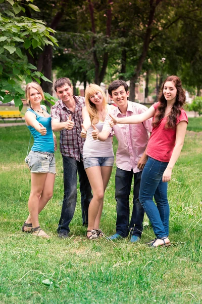 Gruppo di studenti adolescenti felici sorridenti — Foto Stock