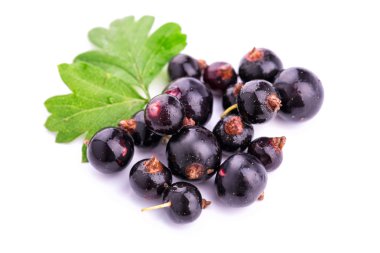 izole taze olgunlaşmış blackcurrants