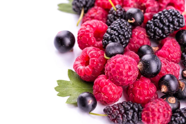 Fresh berries isolated — Stock Photo, Image