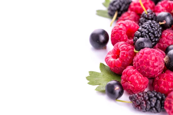 Fresh berries isolated — Stock Photo, Image