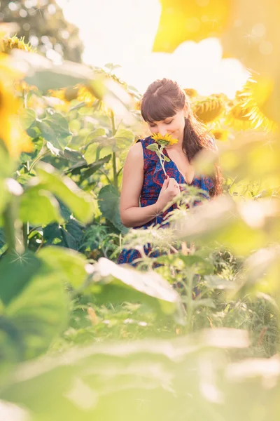 Jonge mooie vrouw in zonnebloem veld — Stockfoto