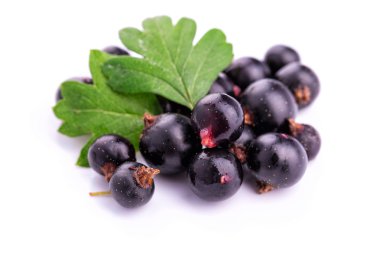 izole taze olgunlaşmış blackcurrants