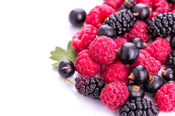 Fresh berries: raspberries, blackcurrants — Stock Photo, Image