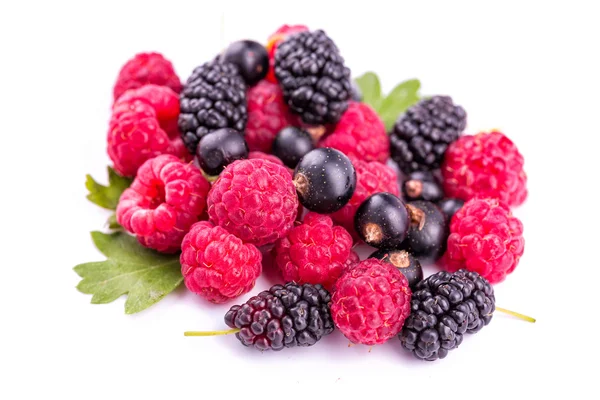 Fresh berries: raspberries, blackcurrants — Stock Photo, Image
