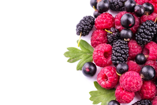 Fresh berries: raspberries, blackcurrants — Stock Photo, Image