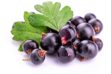 izole taze olgunlaşmış blackcurrants
