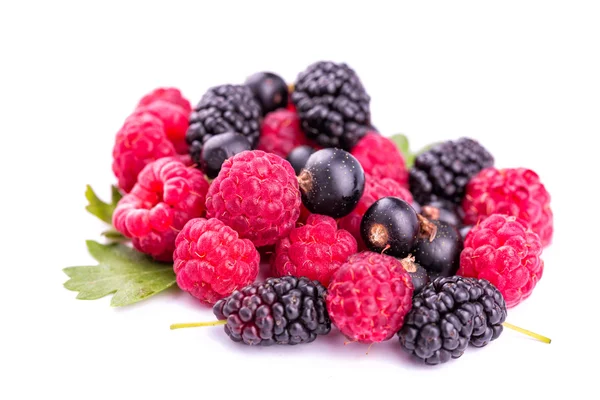 Fresh berries: raspberries, blackcurrants, mulberries — Stock Photo, Image