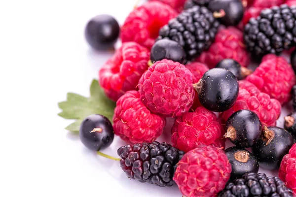 Fresh berries: raspberries, blackcurrants, mulberries — Stock Photo, Image