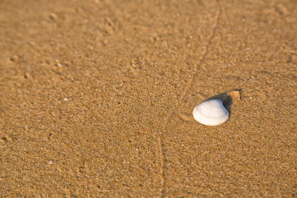 Onda suave do mar na praia arenosa — Fotografia de Stock