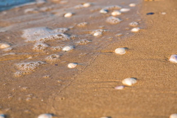 Onda suave do mar na praia arenosa — Fotografia de Stock