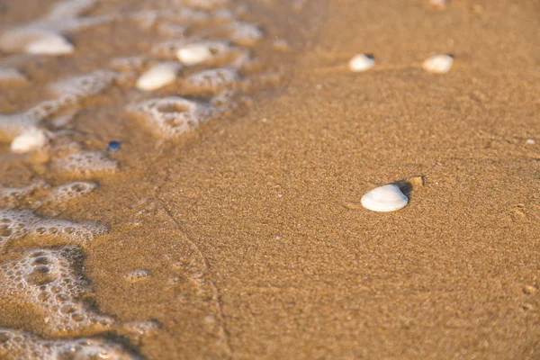 Onda suave do mar na praia arenosa — Fotografia de Stock