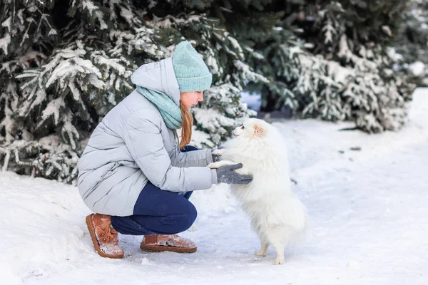 Menina Adolescente Feliz Divertindo Brincando Com Seu Cão Neve Inverno — Fotografia de Stock