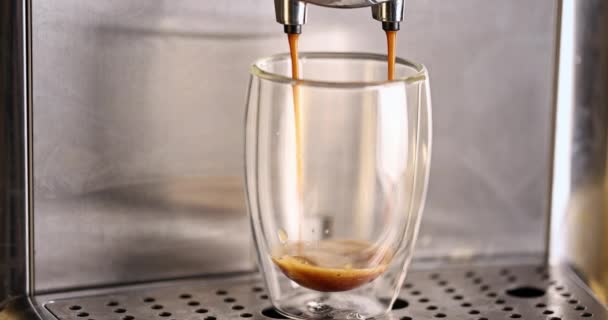 マシンからカップにコーヒーストリームを入れてください ホットエスプレッソを作る家 新鮮なコーヒーが流れる 朝焙煎黒コーヒーを飲む — ストック動画