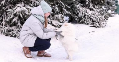 Mutlu genç kız kışın karda köpeğiyle oynarken eğleniyor. Kar oyunları. Kış tatili.