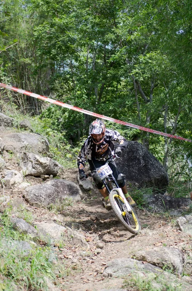 Downhill mountain bike racing — Stock Photo, Image