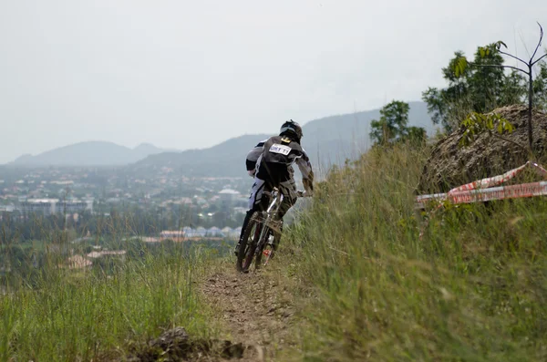 Lefelé mountain bike racing — Stock Fotó