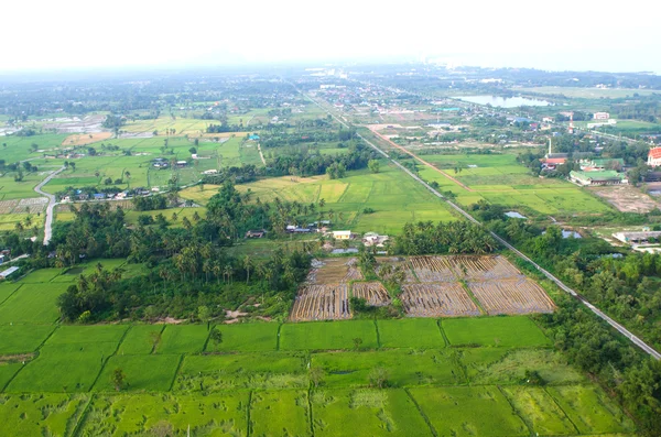 Paisaje de la granja de arroz — Foto de Stock