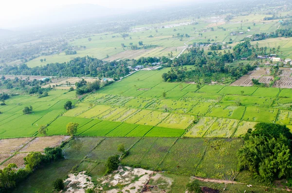 Пейзаж рисовой фермы — стоковое фото