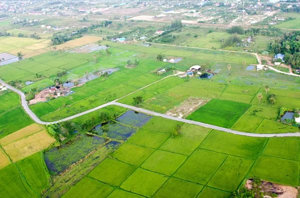 Paisaje de la granja de arroz —  Fotos de Stock