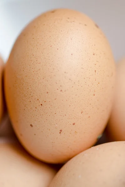 Fresh chicken eggs — Stock Photo, Image