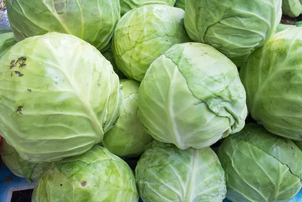 Cabbage — Stock Photo, Image