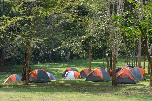 Barraca de cúpula camping — Fotografia de Stock