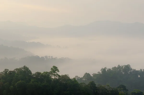 耿 krachan 国家公园泰国 — 图库照片