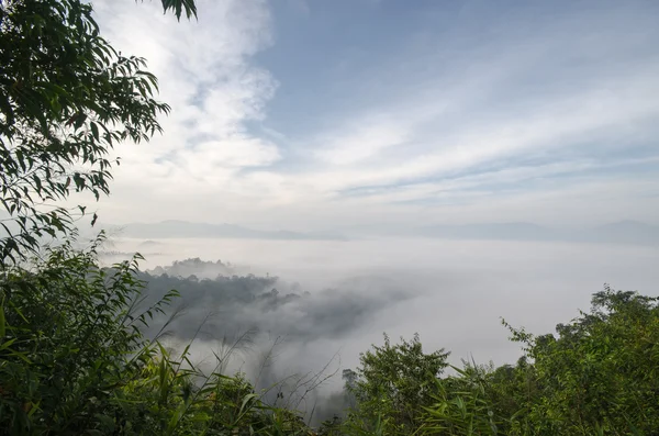 Národní park Kaeng krachan, Thajsko — Stock fotografie