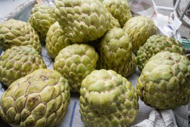 muhallebi elma meyve