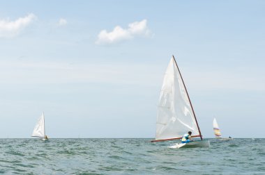 yelken Yarışması