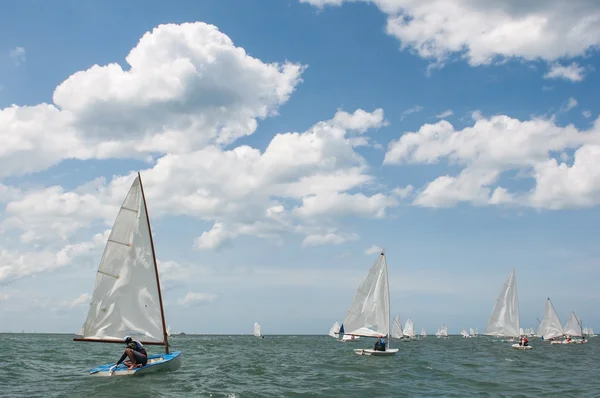 Sailing competition — Stock Photo, Image