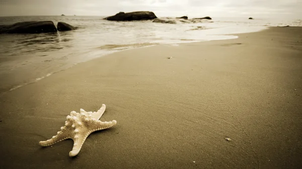 Hua Hin beach — Stock Photo, Image