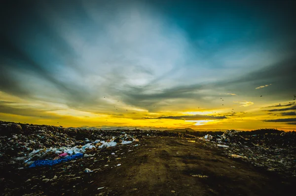 Grosso mucchio di spazzatura — Foto Stock