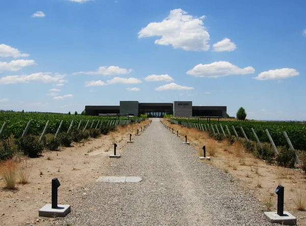 mendoza üzüm bağı