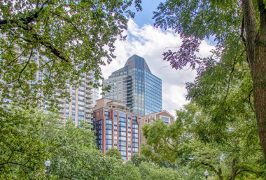a view to the city through the trees