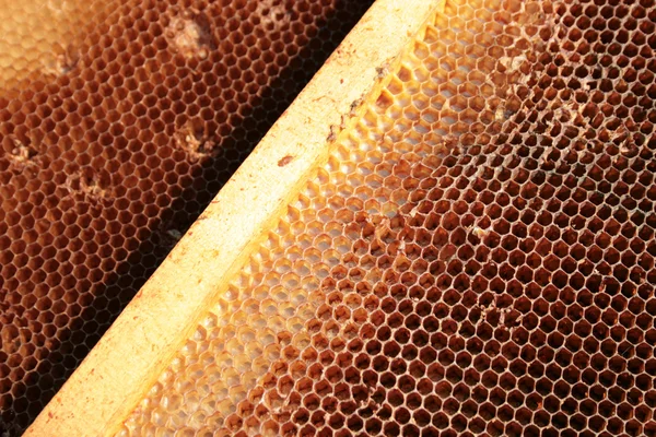 Produção de mel — Fotografia de Stock
