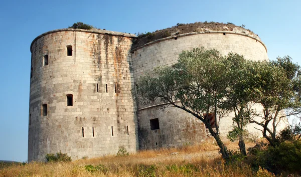 Fort Arza