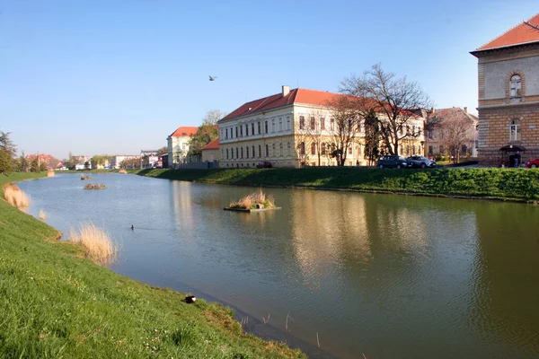 City Zrenjanin Serbia Europe —  Fotos de Stock