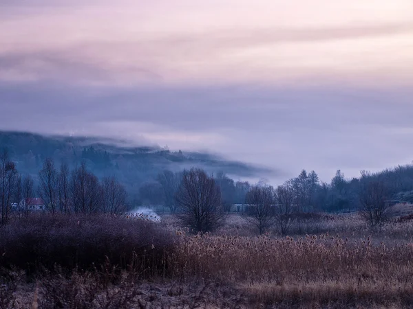 Pšenice země — Stock fotografie