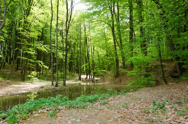 River and wood bridge — Stock Photo, Image